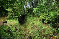 Parque Municipal Ambiental Río Loro -Ochomogo, Cartago-