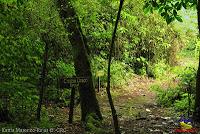 Parque Municipal Ambiental Río Loro -Ochomogo, Cartago-