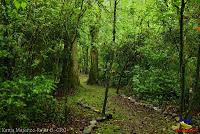 Parque Municipal Ambiental Río Loro -Ochomogo, Cartago-