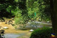 Parque Municipal Ambiental Río Loro -Ochomogo, Cartago-