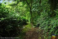 Parque Municipal Ambiental Río Loro -Ochomogo, Cartago-