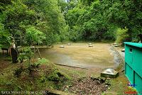 Parque Municipal Ambiental Río Loro -Ochomogo, Cartago-