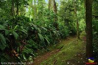 Parque Municipal Ambiental Río Loro -Ochomogo, Cartago-