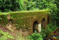 Parque Municipal Ambiental Río Loro -Ochomogo, Cartago-