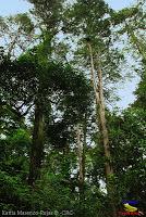 Parque Municipal Ambiental Río Loro -Ochomogo, Cartago-