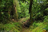 Parque Municipal Ambiental Río Loro -Ochomogo, Cartago-