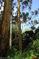 Parque Municipal Ambiental Río Loro -Ochomogo, Cartago-