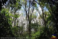 Parque Municipal Ambiental Río Loro -Ochomogo, Cartago-