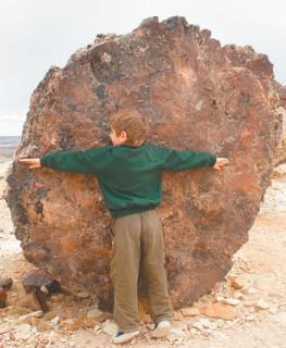 El bosque petrificado de Jaramillo