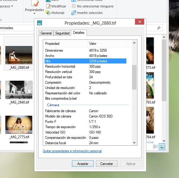 Capítulo 3 - Conceptos básicos - Parte 6