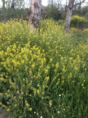 La moda a veces es lo de menos ...la libertad es el bien más preciado
que tenemos.