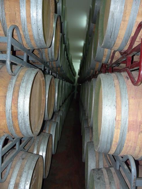 Visita a Bodegas Castejón