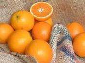 Naranjas Finca Pastor