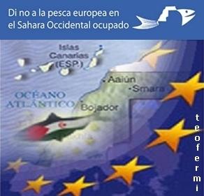 El pescado que Marruecos roba y Europa compra