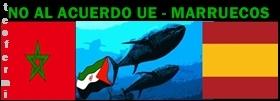 Western Sahara Resource Watch cuestiona la legalidad del Acuerdo de Pesca entre España y Marruecos