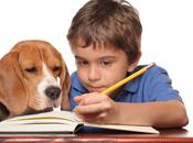 CONSEJOS EFECTIVOS Para Niños hagan Tarea