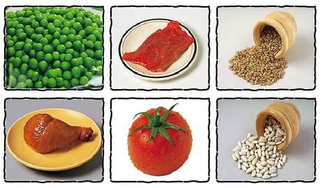 1er Grado: Tipos de alimentos tipos de alimentos