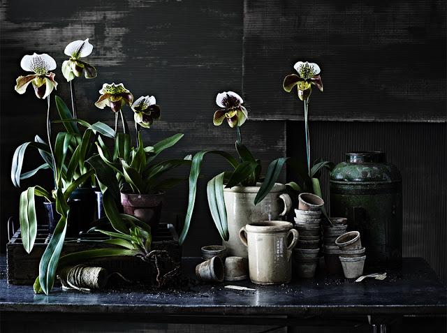 The Quintessential Magazine o la celebración del estilo perdurable