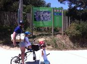 verde Palafrugell Playa Castell. Ruta bici