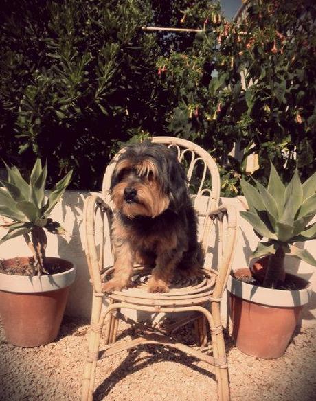 Buen fin de semana!!