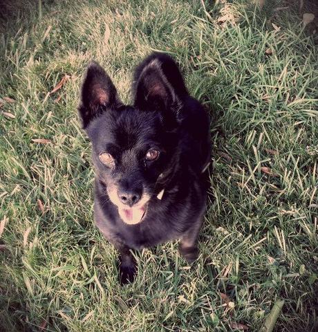 Buen fin de semana!!