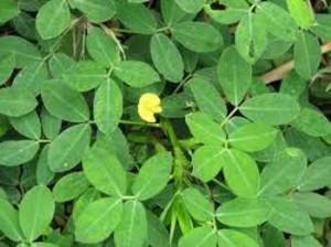 Crea un sistema de riego casero