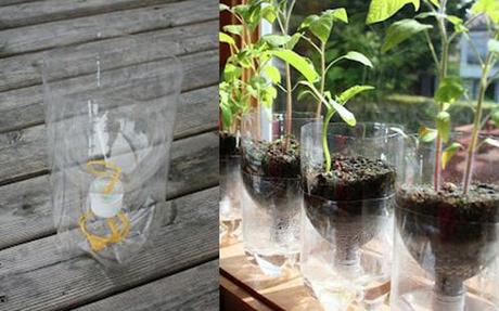 Botellas recicladas como macetas de auto-riego Crea un sistema de riego casero