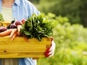Alimentos funcionales