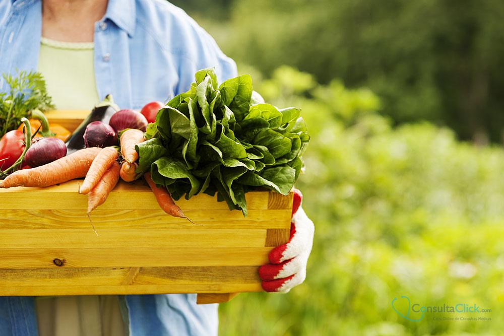 alimentos funcionales