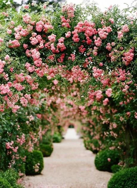 Jardines en Flor. Jardines Ingleses.