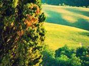 Aviary para ahora permite compartir imágenes Instagram