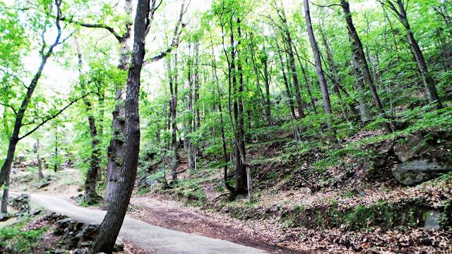 Montañas del Canigó, un símbolo de la identidad catalana