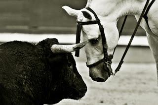 ALBERT DE JUAN SE HACE CON EL PREMIO LADIS DE FOTOGRAFÍA TAURINA
