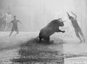 Albert juan hace premio ladis fotografía taurina