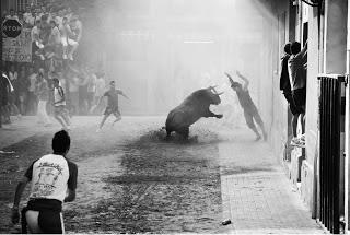 ALBERT DE JUAN SE HACE CON EL PREMIO LADIS DE FOTOGRAFÍA TAURINA