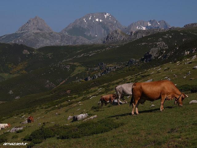 el cirbanal y la silla