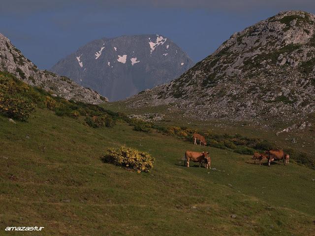 el cirbanal y la silla