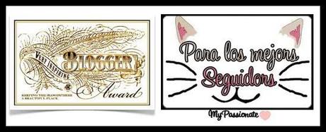… del Premio a los Mejores seguidores y del Premio Blogger Premios Mejores seguidores y Blogger