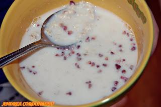 PORRIDGE DE CHOCOLATE BLANCO Y FRAMBUESAS. GACHAS DE AVENA.