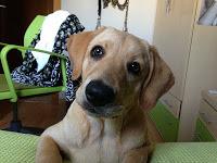 Floyd y sus 5 meses!