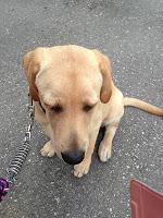 Floyd y sus 5 meses!