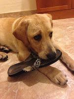 Floyd y sus 5 meses!