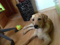 Floyd y sus 5 meses!