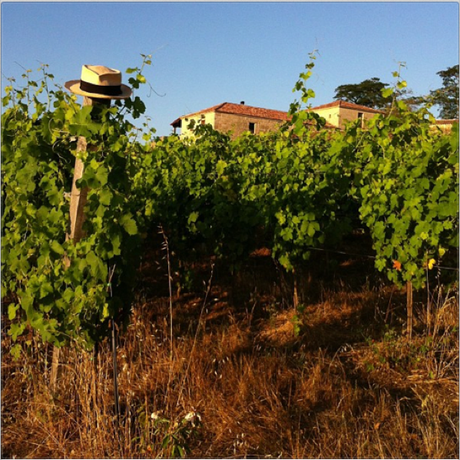 A Pita Cega: caprichos de Pilar con aires de Ribeiro. Pita Cega Greta.jpg