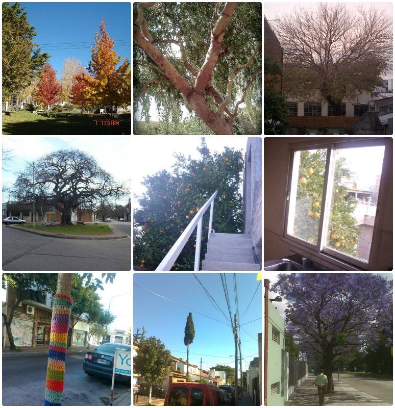 Y la ganadora es....