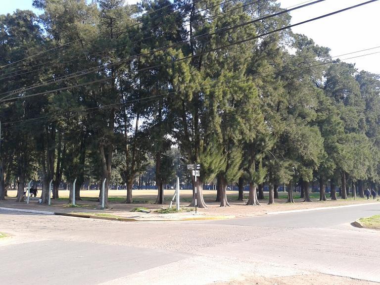 Y la ganadora es....