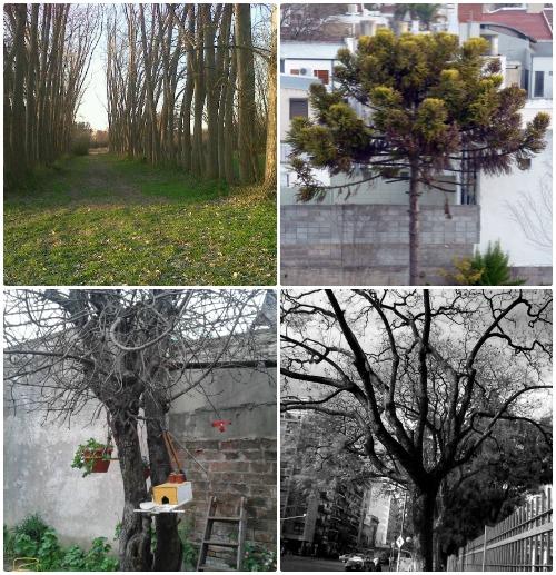 Y la ganadora es....