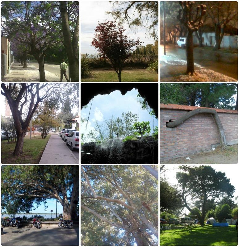 Y la ganadora es....