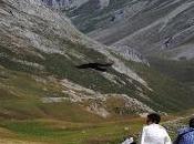 maneras afrontar vida