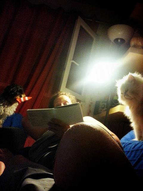 Androidografia Barakaldo 1442